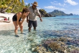 Animaux les plus Effrayants et Dangereux Trouvés aux Fidji 🦈